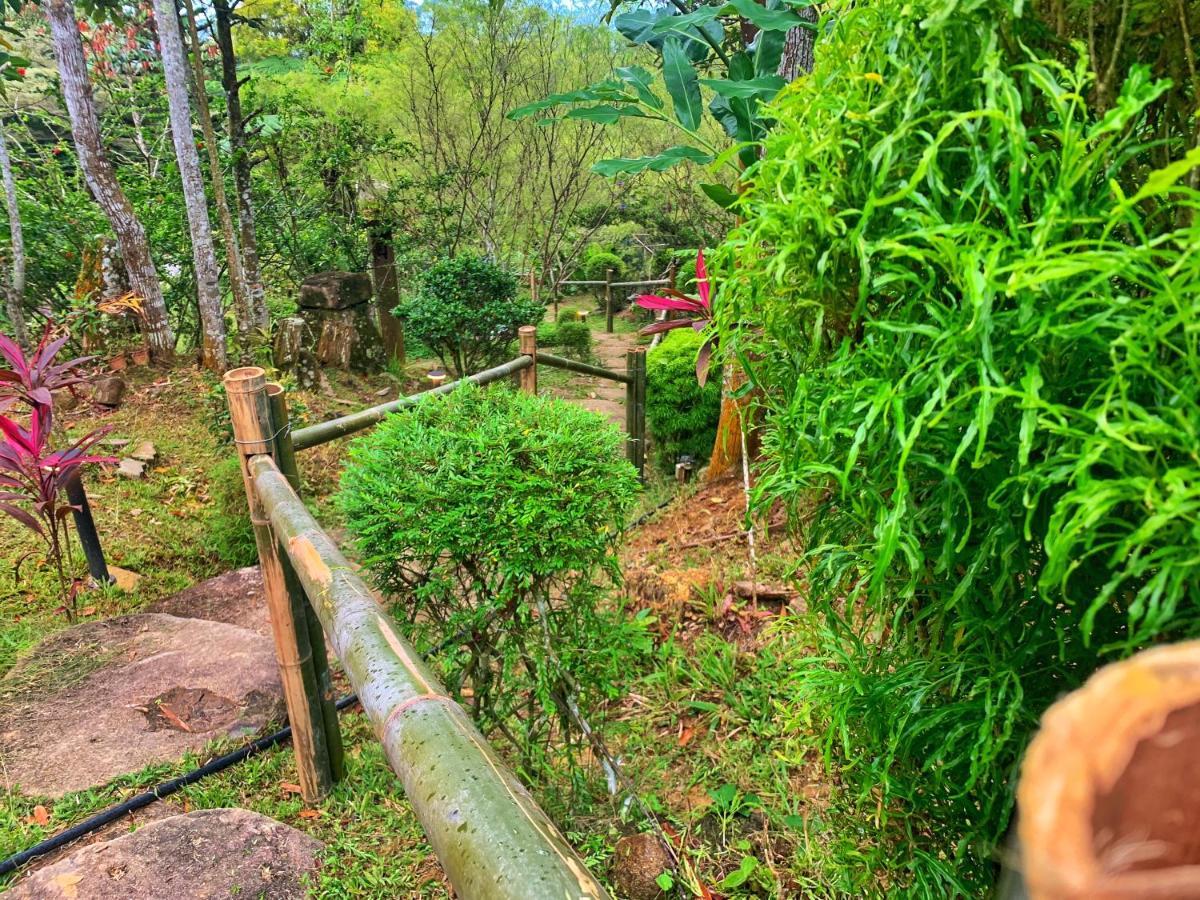 Harmony Valley Retreat Букит Тинги Екстериор снимка