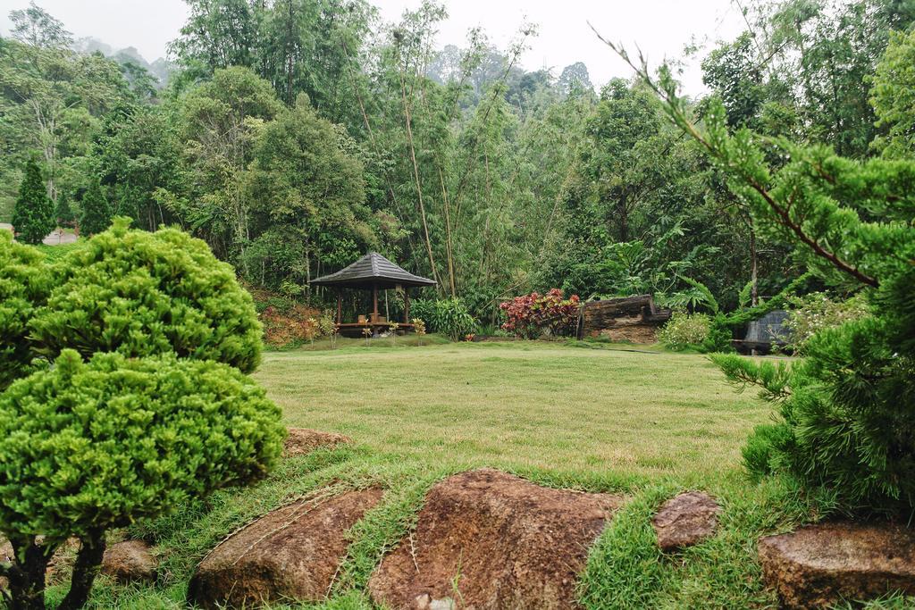 Harmony Valley Retreat Букит Тинги Екстериор снимка