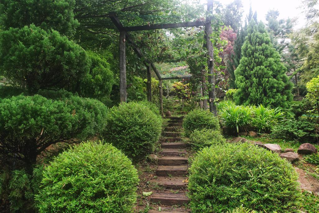 Harmony Valley Retreat Букит Тинги Екстериор снимка